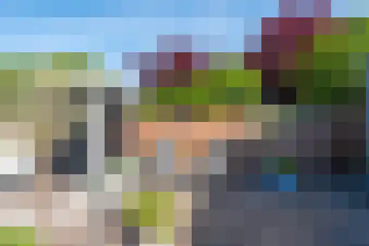 Aurora 29 Opmeer thumbnail 57