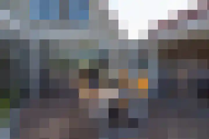 Aurora 29 Opmeer thumbnail 59