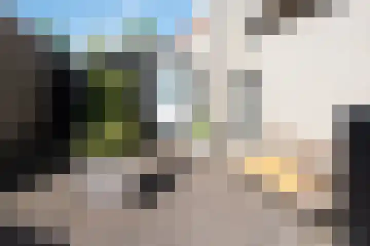 Aurora 29 Opmeer thumbnail 63