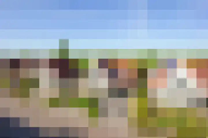 Aurora 29 Opmeer thumbnail 65