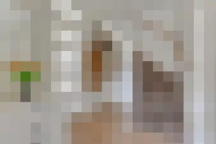 Aurora 29 Opmeer thumbnail 8