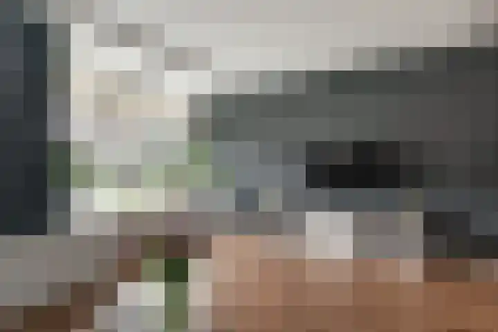 Aurora 74 Opmeer thumbnail 10