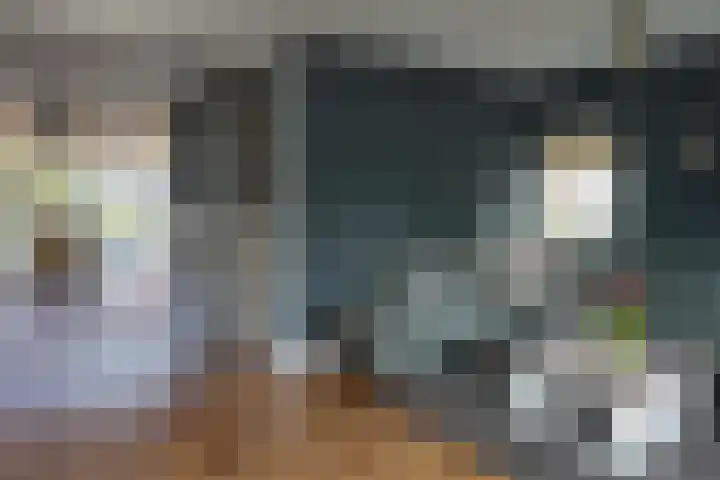 Aurora 74 Opmeer thumbnail 11