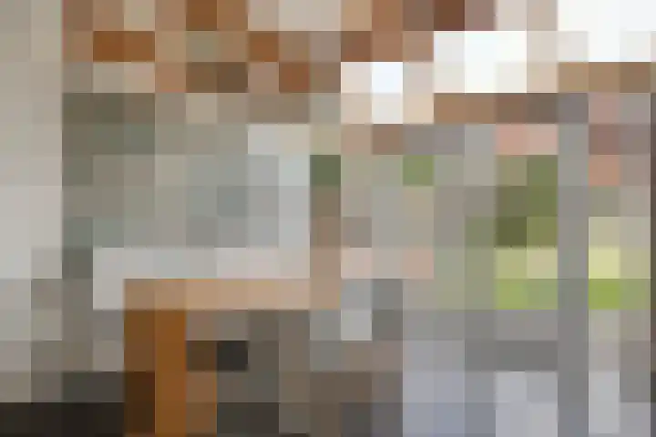 Aurora 74 Opmeer thumbnail 14
