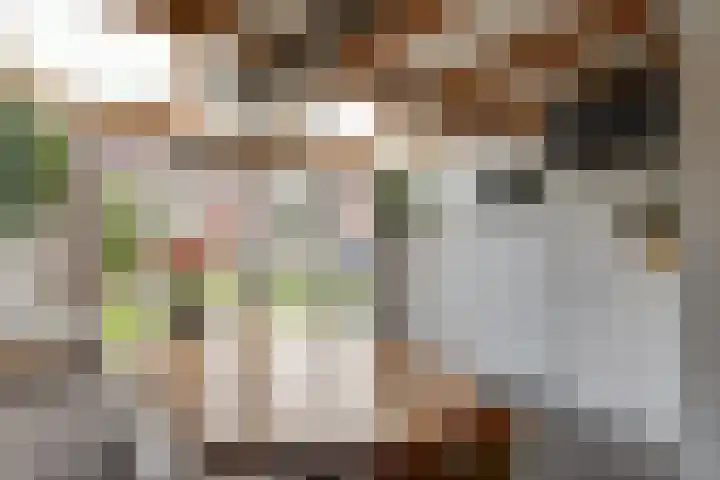Aurora 74 Opmeer thumbnail 15