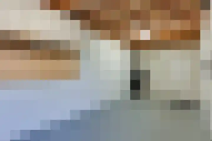 Aurora 74 Opmeer thumbnail 18