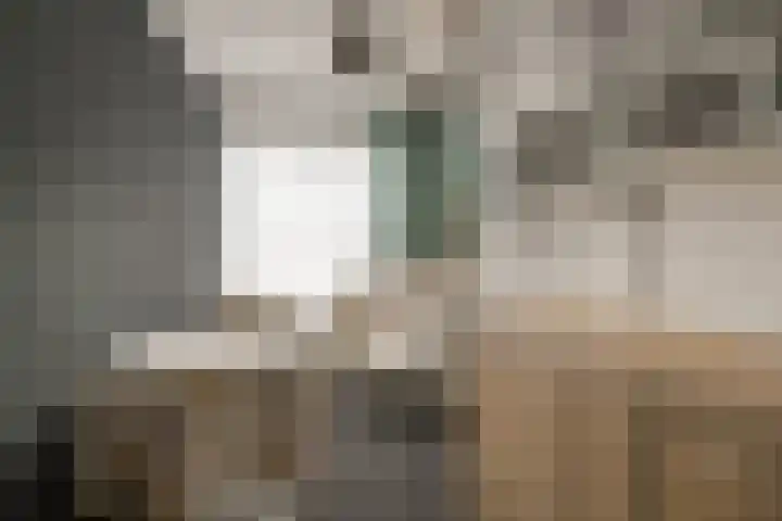 Aurora 74 Opmeer thumbnail 23