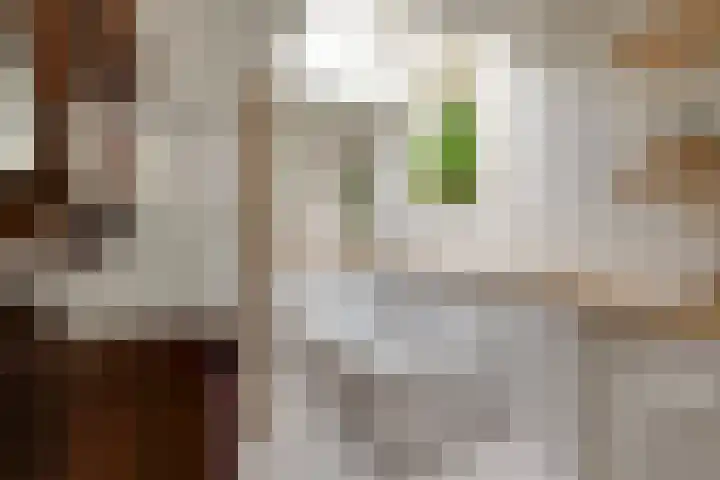 Aurora 74 Opmeer thumbnail 37
