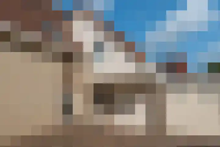 Aurora 74 Opmeer thumbnail 4