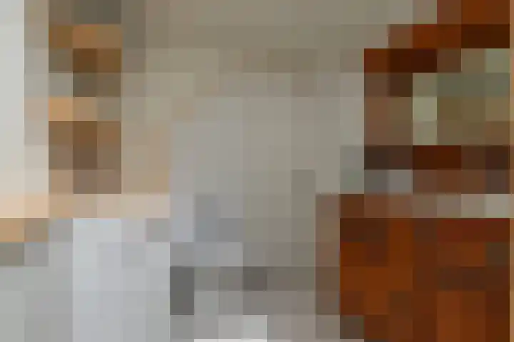 Aurora 74 Opmeer thumbnail 41
