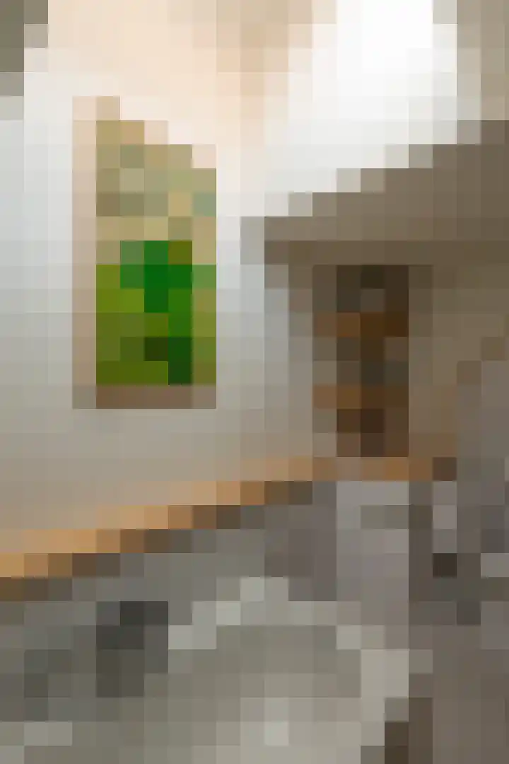 Aurora 74 Opmeer thumbnail 42