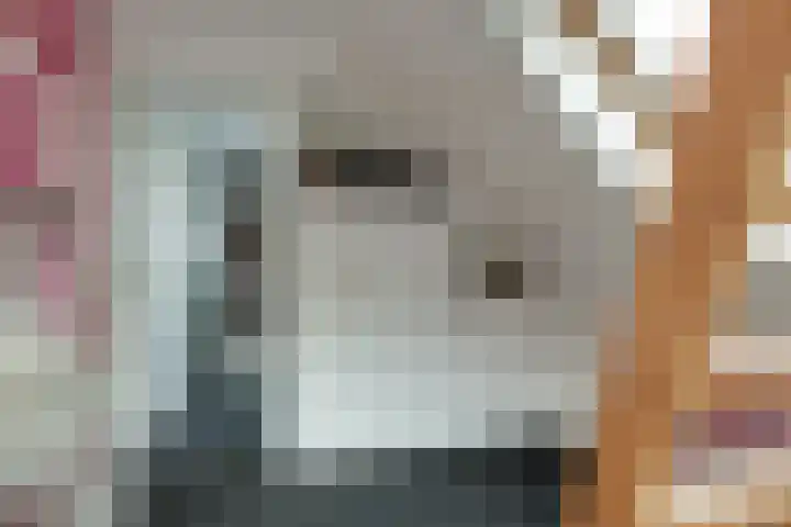 Aurora 74 Opmeer thumbnail 47
