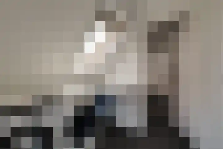 Aurora 74 Opmeer thumbnail 50