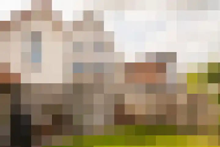 Aurora 74 Opmeer thumbnail 51