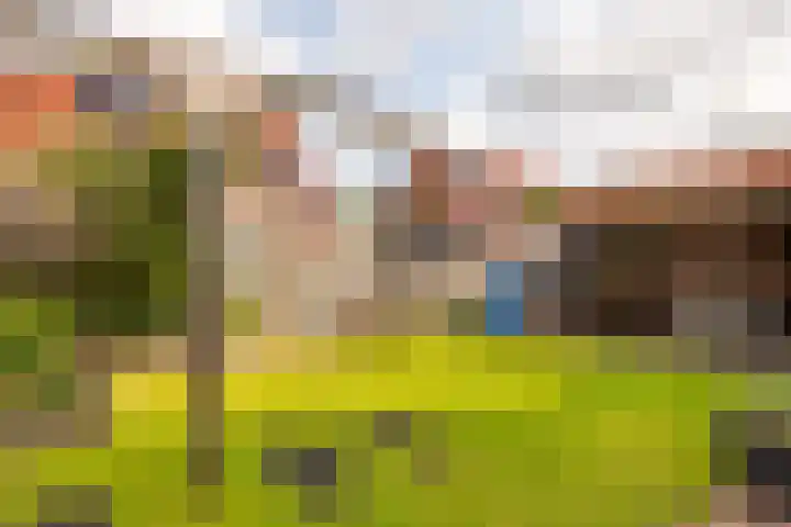 Aurora 74 Opmeer thumbnail 53
