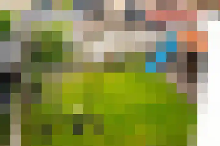 Aurora 74 Opmeer thumbnail 54