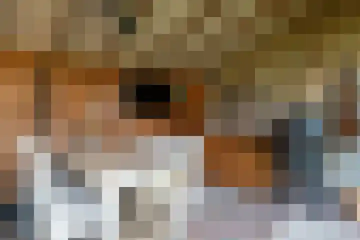 Aurora 74 Opmeer thumbnail 57