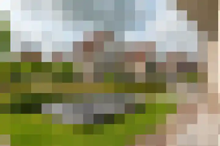 Aurora 74 Opmeer thumbnail 58