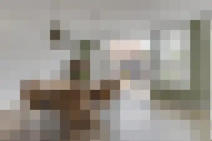 Aurora 8 Opmeer thumbnail 13