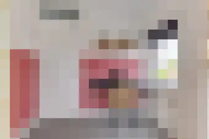 Aurora 8 Opmeer thumbnail 25