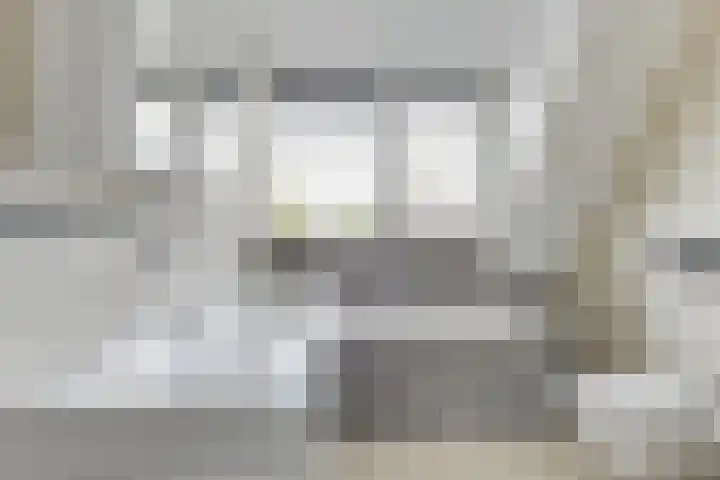 Aurora 8 Opmeer thumbnail 29