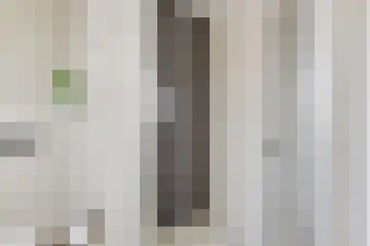 Aurora 8 Opmeer thumbnail 31
