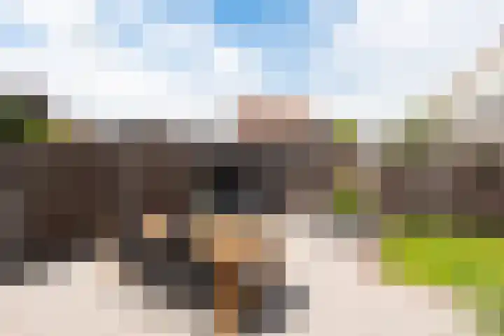 Aurora 8 Opmeer thumbnail 43