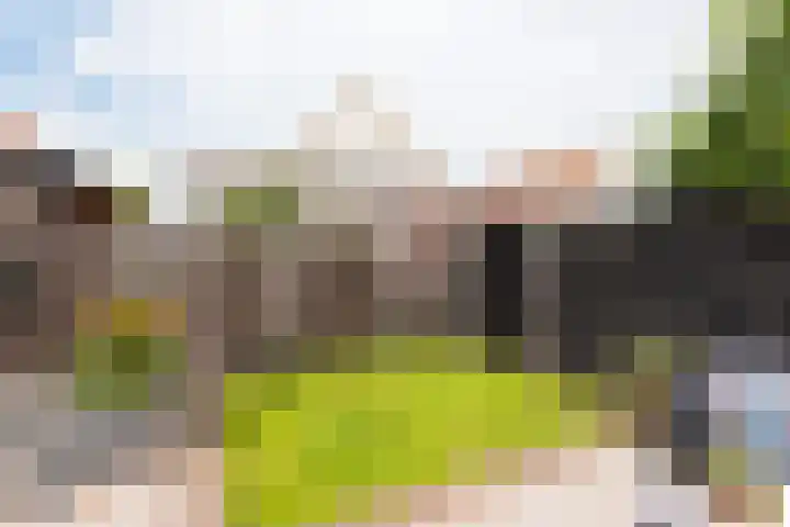 Aurora 8 Opmeer thumbnail 44