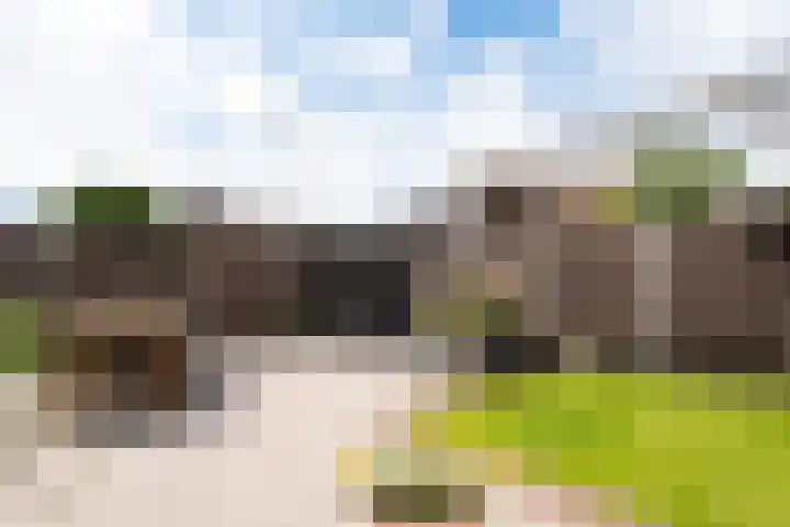 Aurora 8 Opmeer thumbnail 50