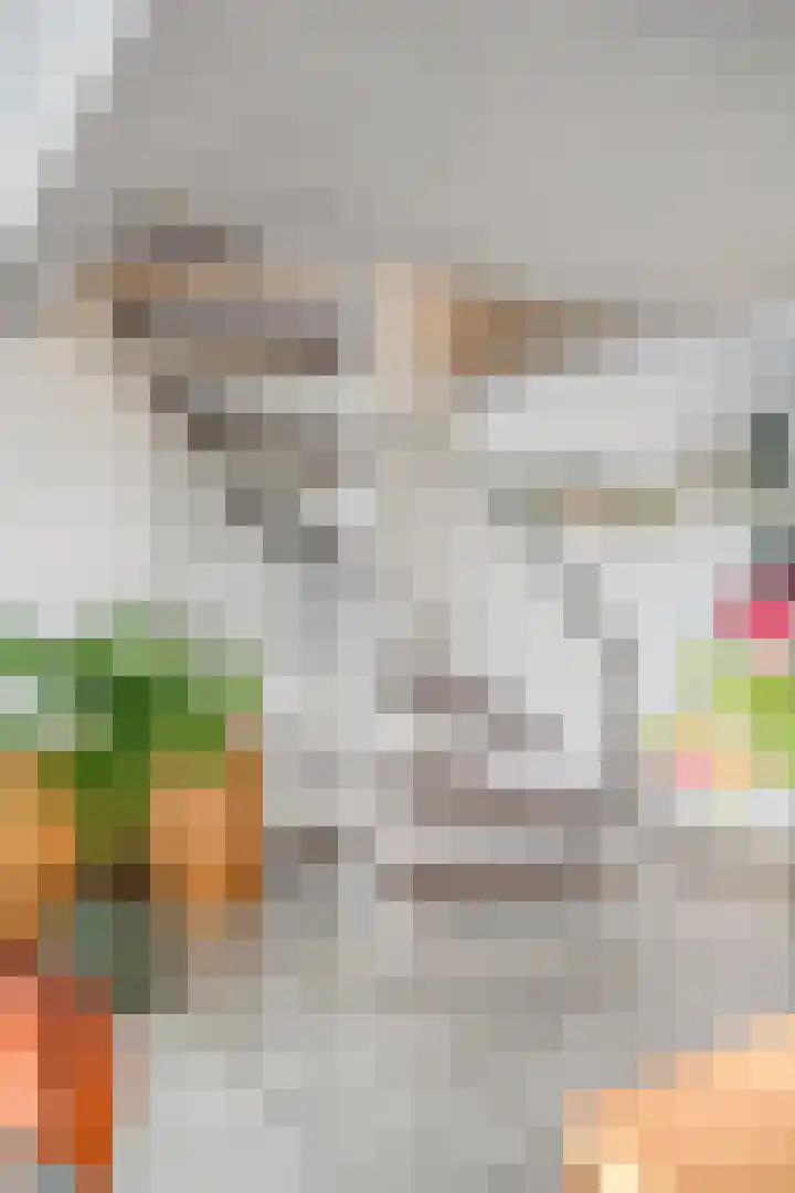 Aurora 9 Heeze thumbnail 14