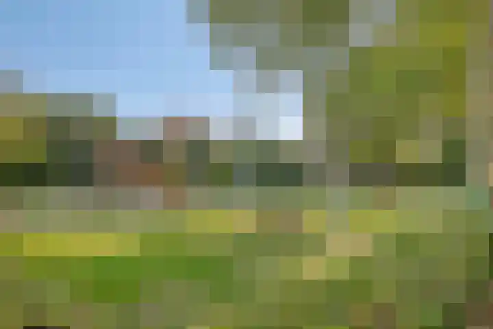 Aurora 9 Heeze thumbnail 30