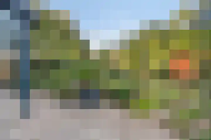 Aurora 9 Heeze thumbnail 38