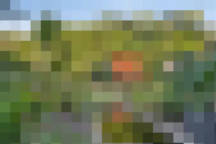 Aurora 9 Heeze thumbnail 39