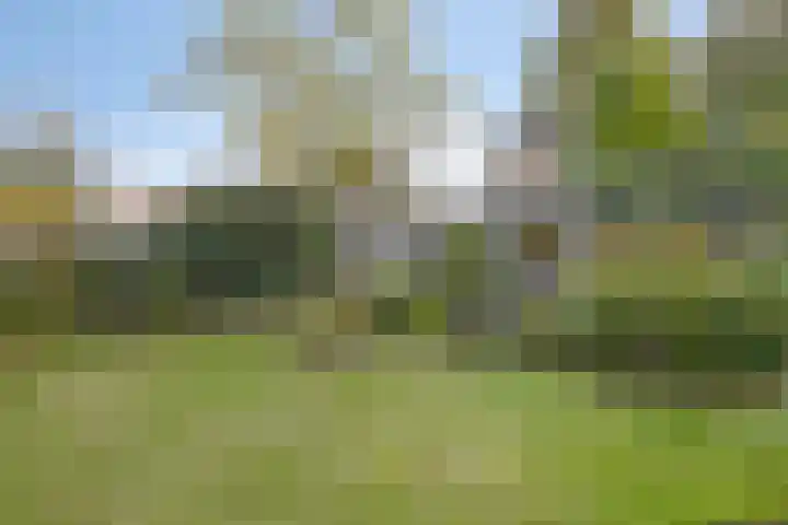 Aurora 9 Heeze thumbnail 4