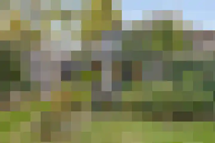 Aurora 9 Heeze thumbnail 41