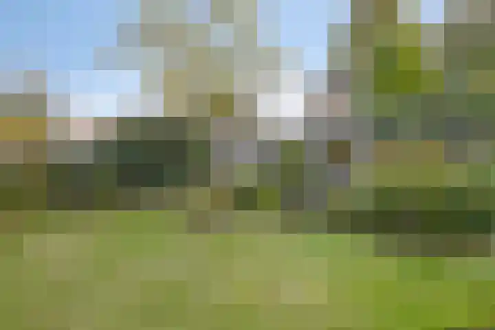 Aurora 9 Heeze thumbnail 42