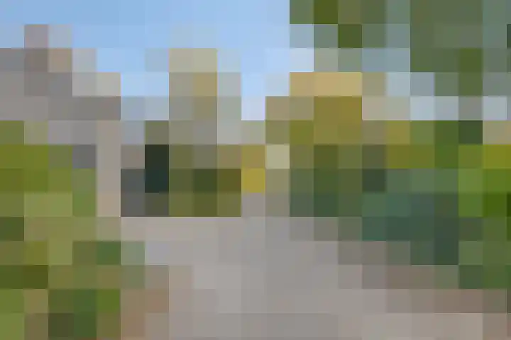 Aurora 9 Heeze thumbnail 6