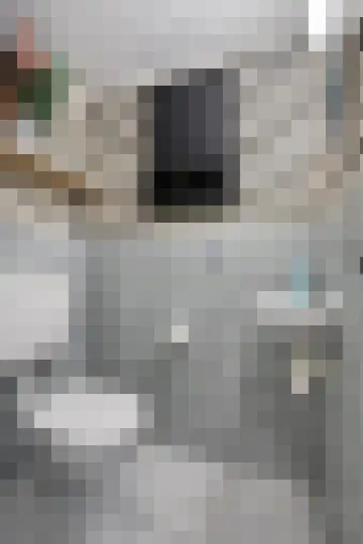 Aurora 9 Heeze thumbnail 9