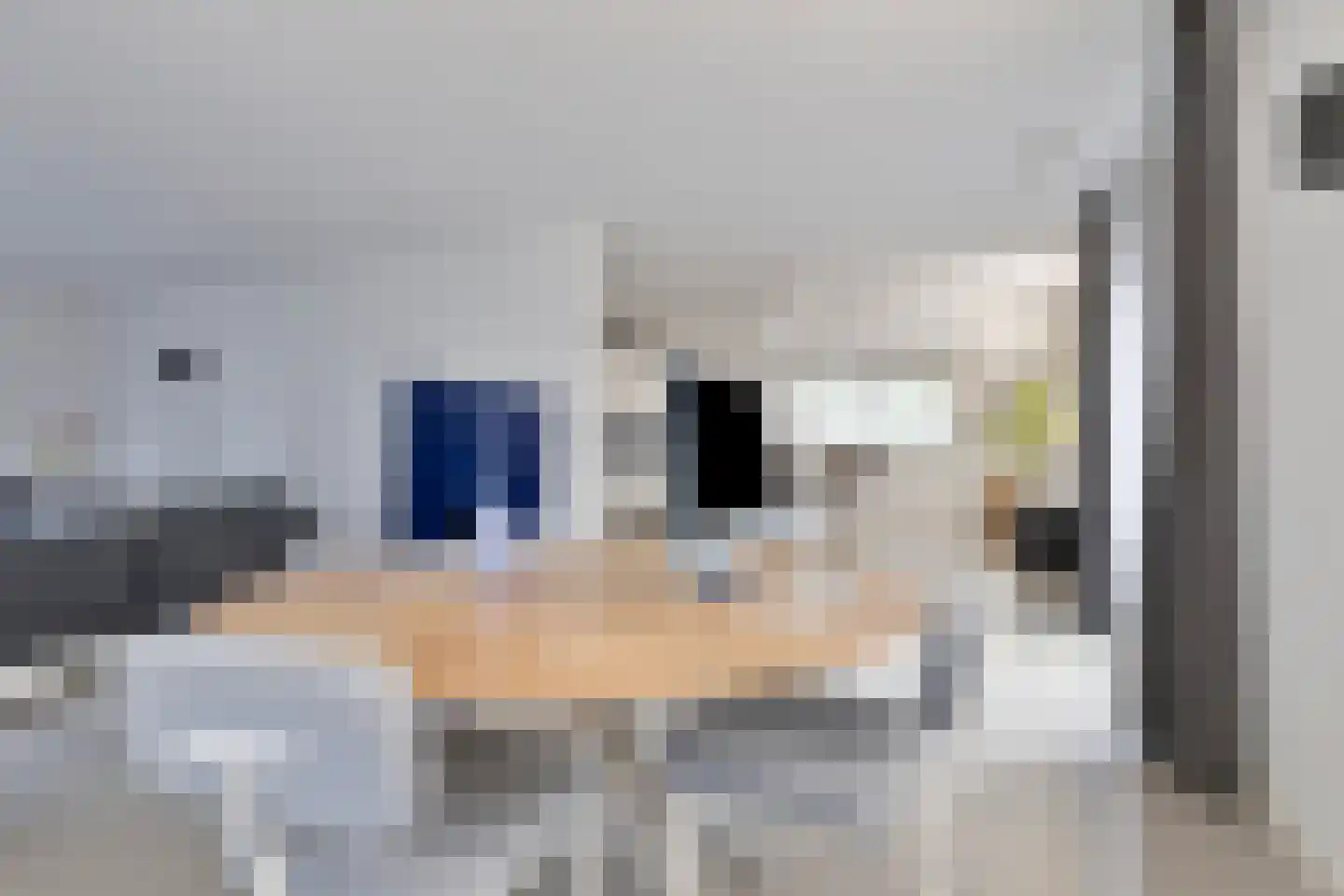 Aurora 9 Middenbeemster thumbnail 13