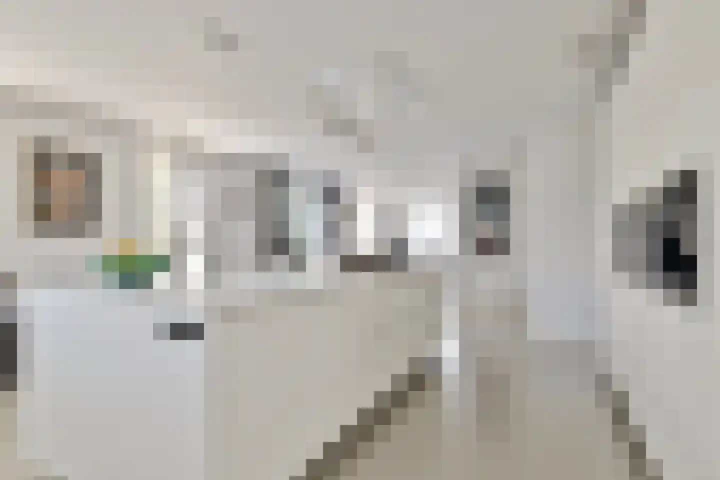 Aurora 9 Middenbeemster thumbnail 17