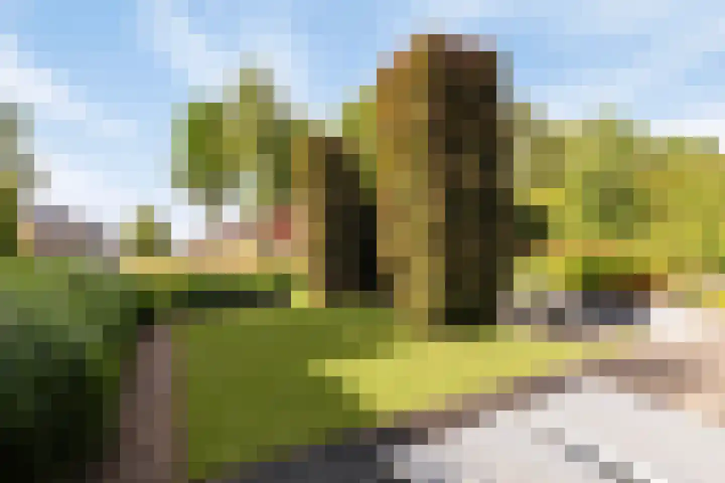 Aurora 9 Middenbeemster thumbnail 41