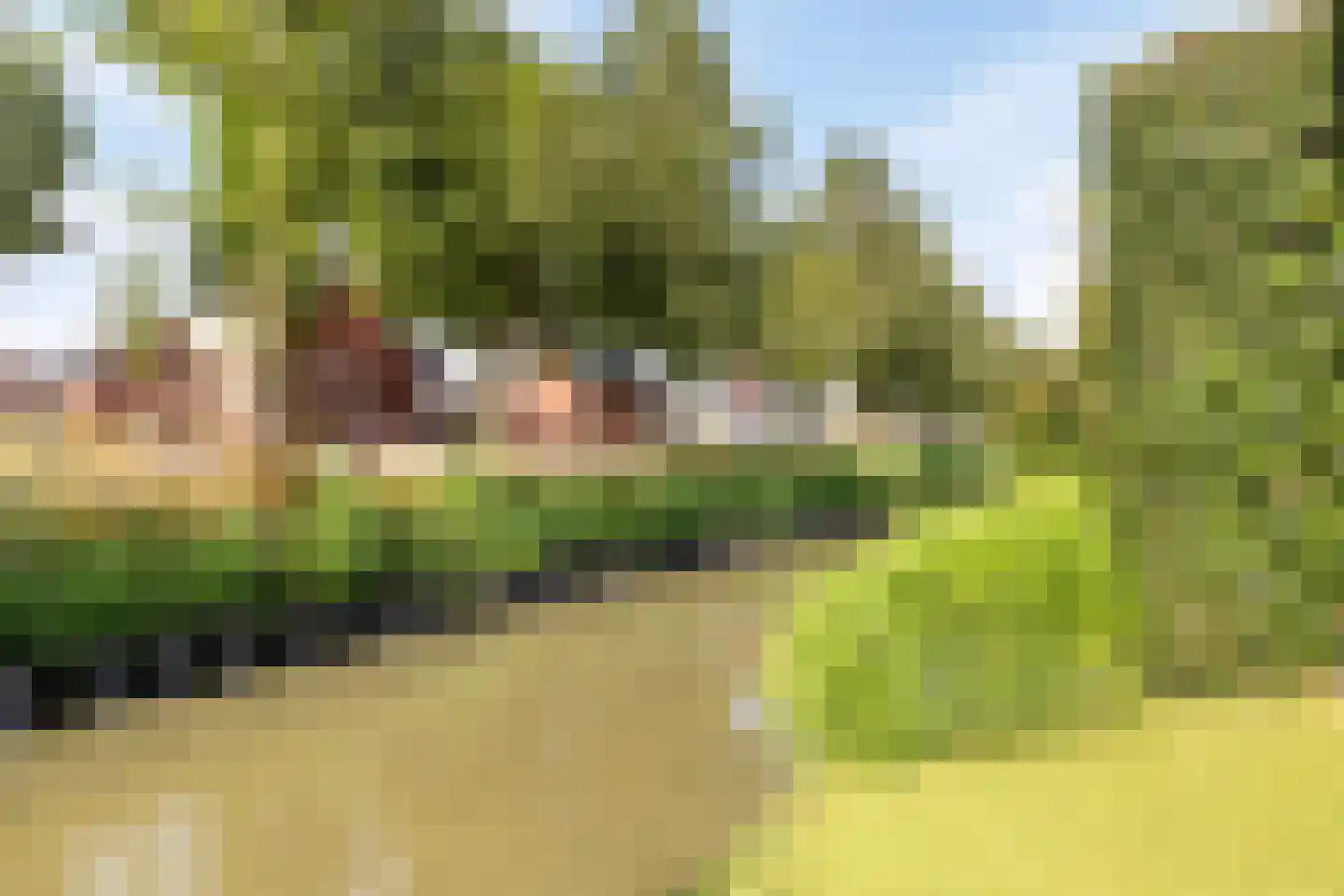 Aurora 9 Middenbeemster thumbnail 47