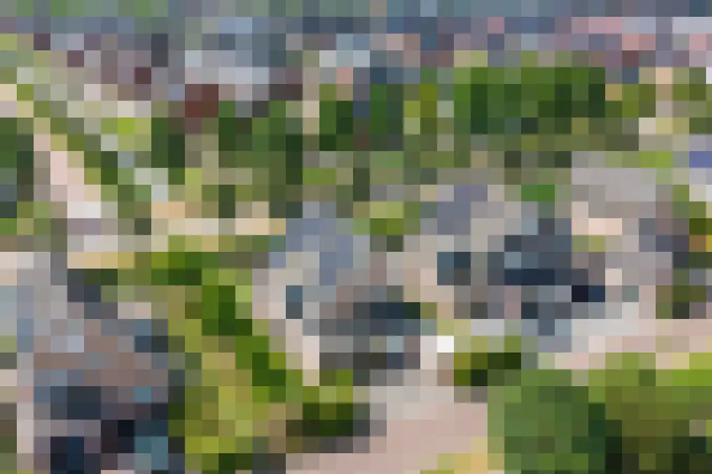 Aurora 9 Middenbeemster thumbnail 52