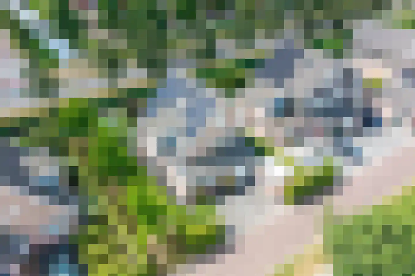 Aurora 9 Middenbeemster thumbnail 53