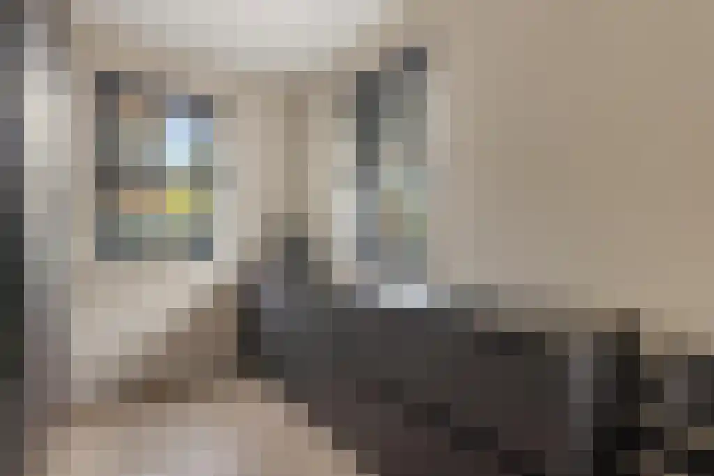 Aurorahof 14 Almere thumbnail 10