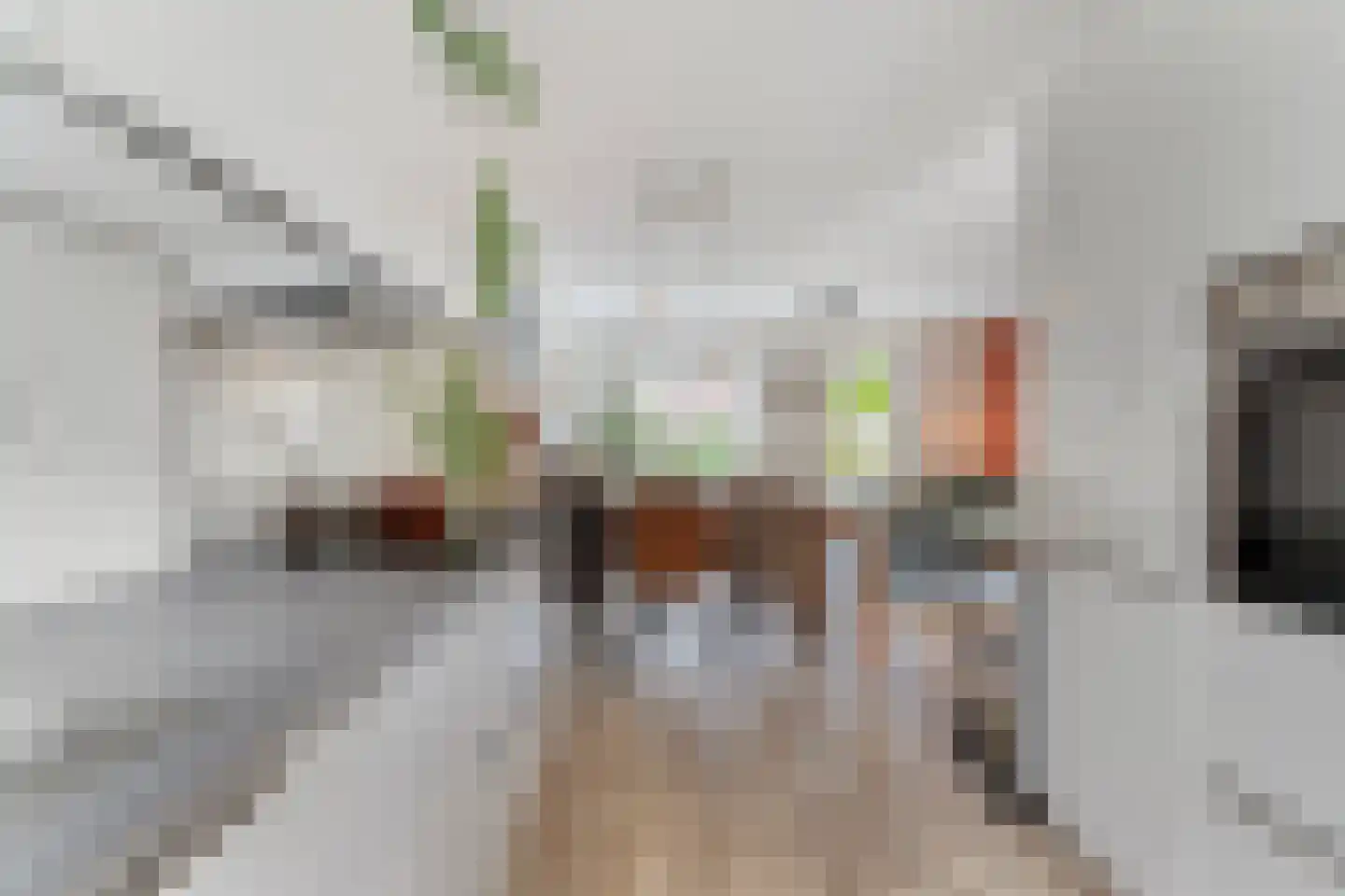Auroraplantsoen 33 Arnhem thumbnail 15