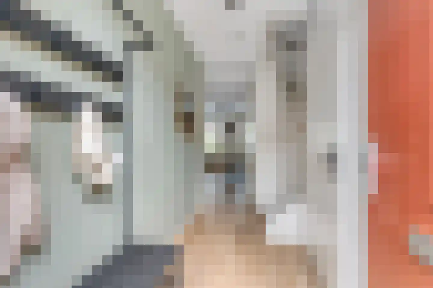 Auroraplantsoen 33 Arnhem thumbnail 7