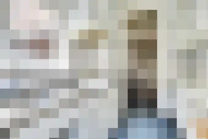 Aurorastraat 14 Utrecht thumbnail 14