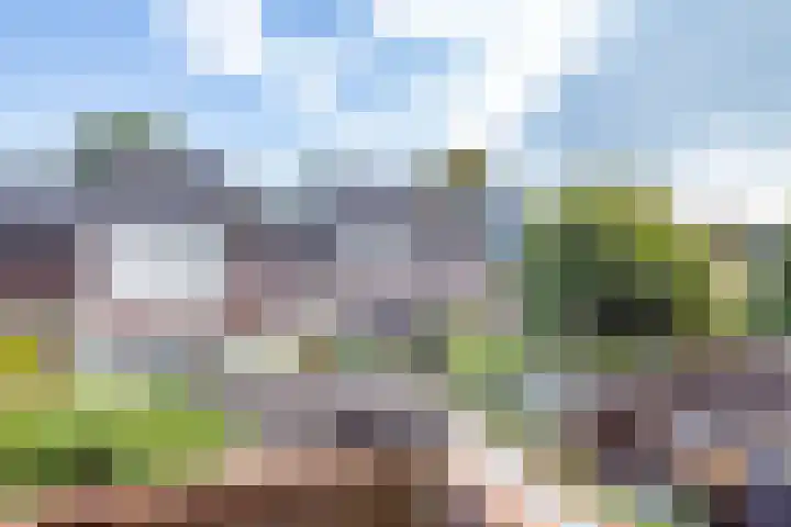 Aurorastraat 14 Utrecht thumbnail 24