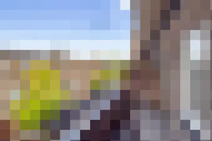 Aurorastraat 14 Utrecht thumbnail 31